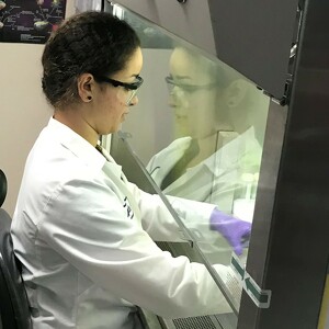 College of Science and Mathematics Student Success Fund